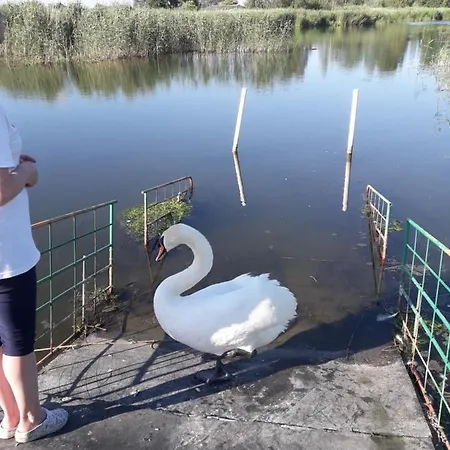 U Wikinga Pensjonat *