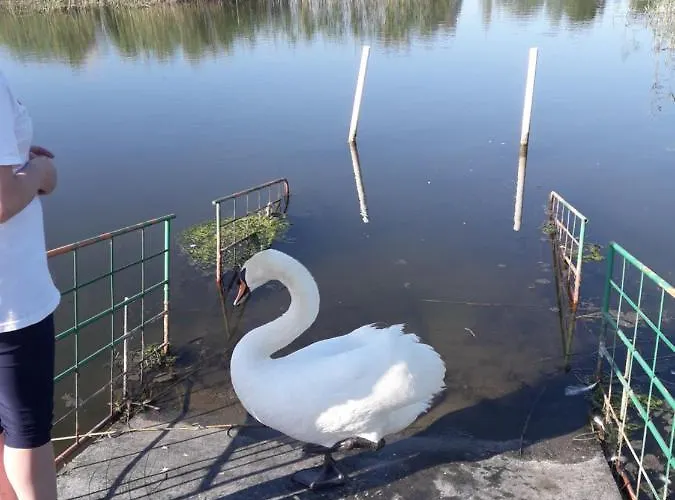 U Wikinga Guest house *