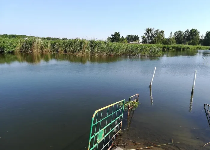 U Wikinga Guest house