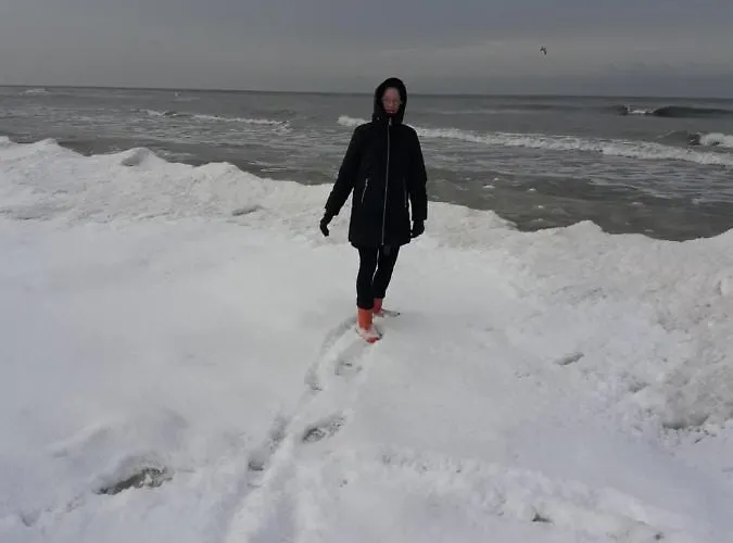 Guest house U Wikinga